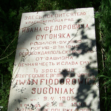 Воинское кладбище в с. Бояно