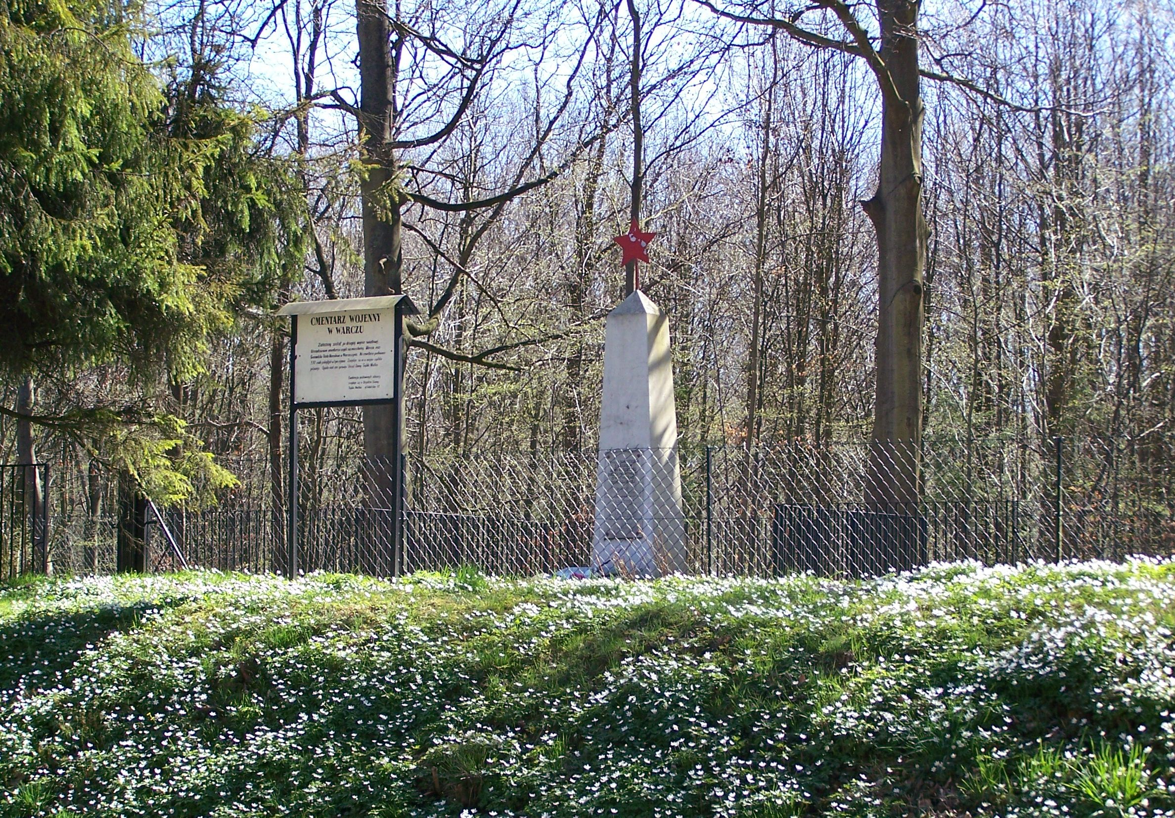 Военное кладбище в с. Варч