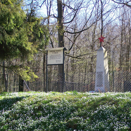 Военное кладбище в с. Варч
