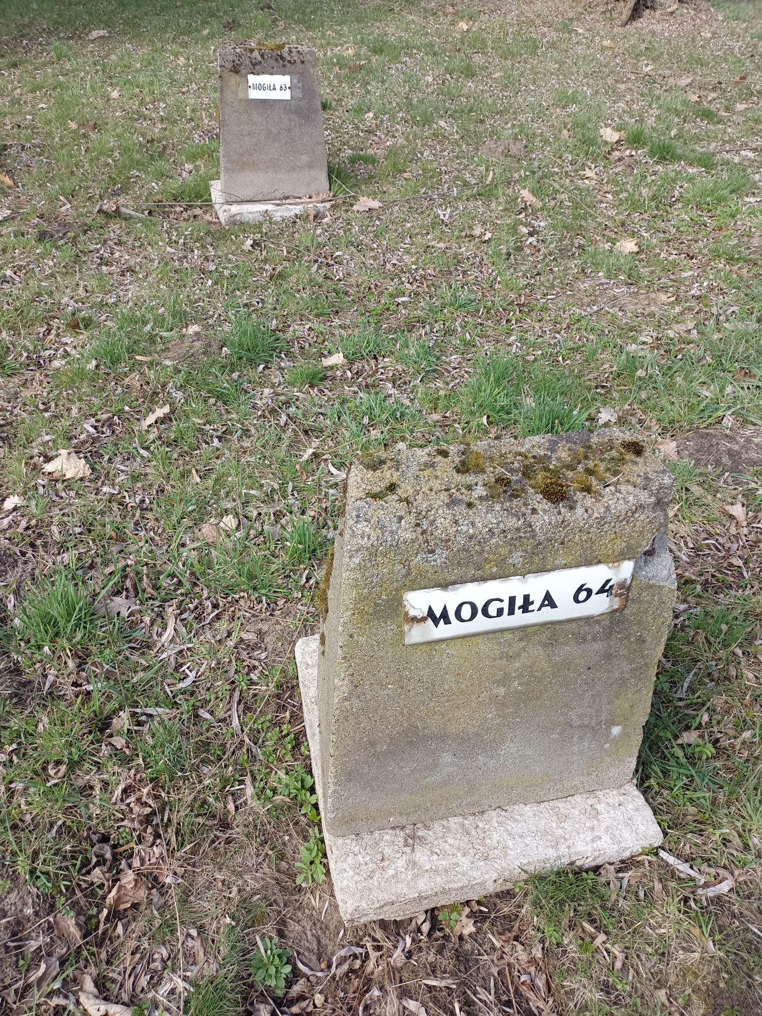 Воинское кладбище в г. Гарволин