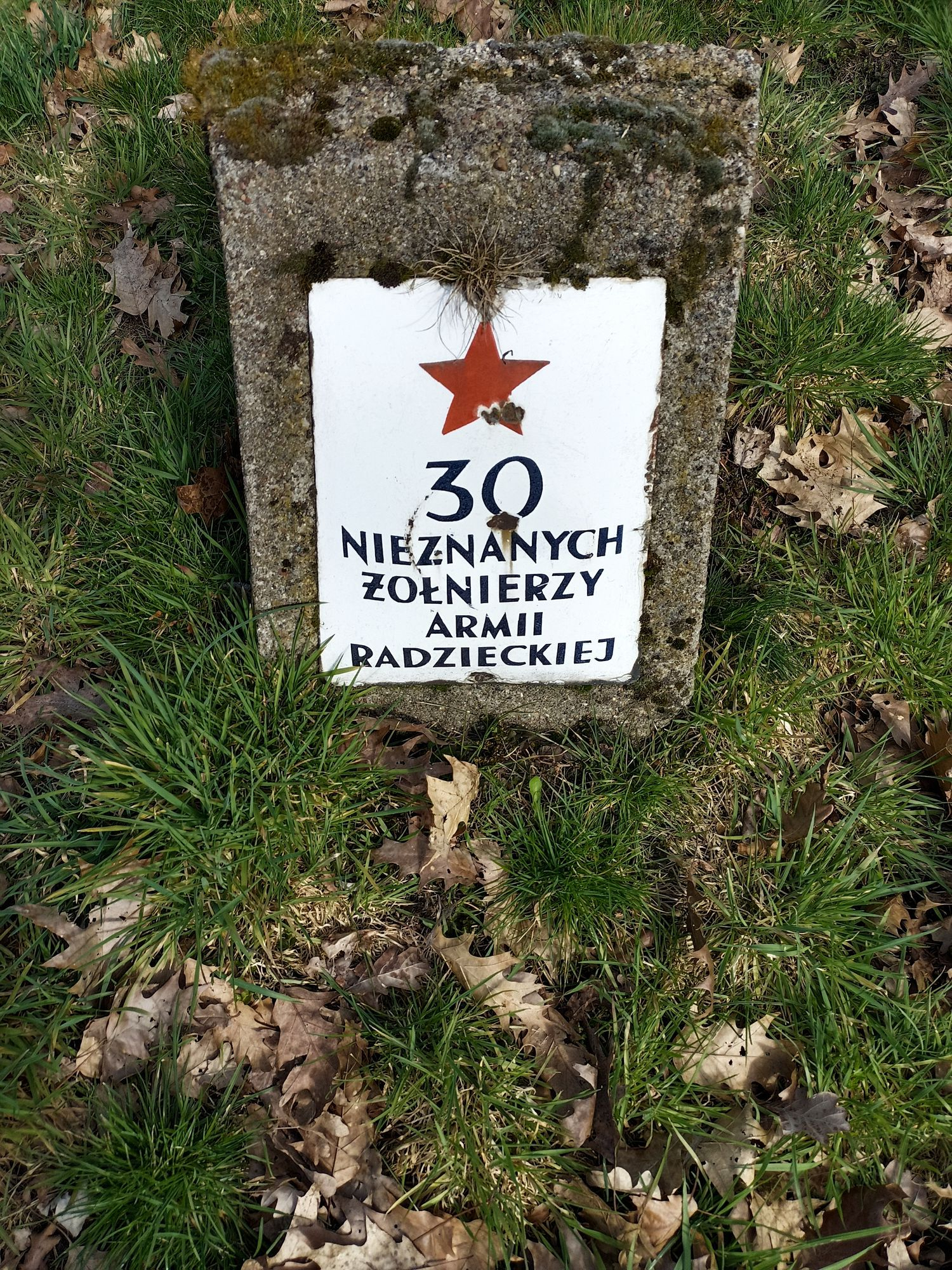 Воинское кладбище в г. Гарволин