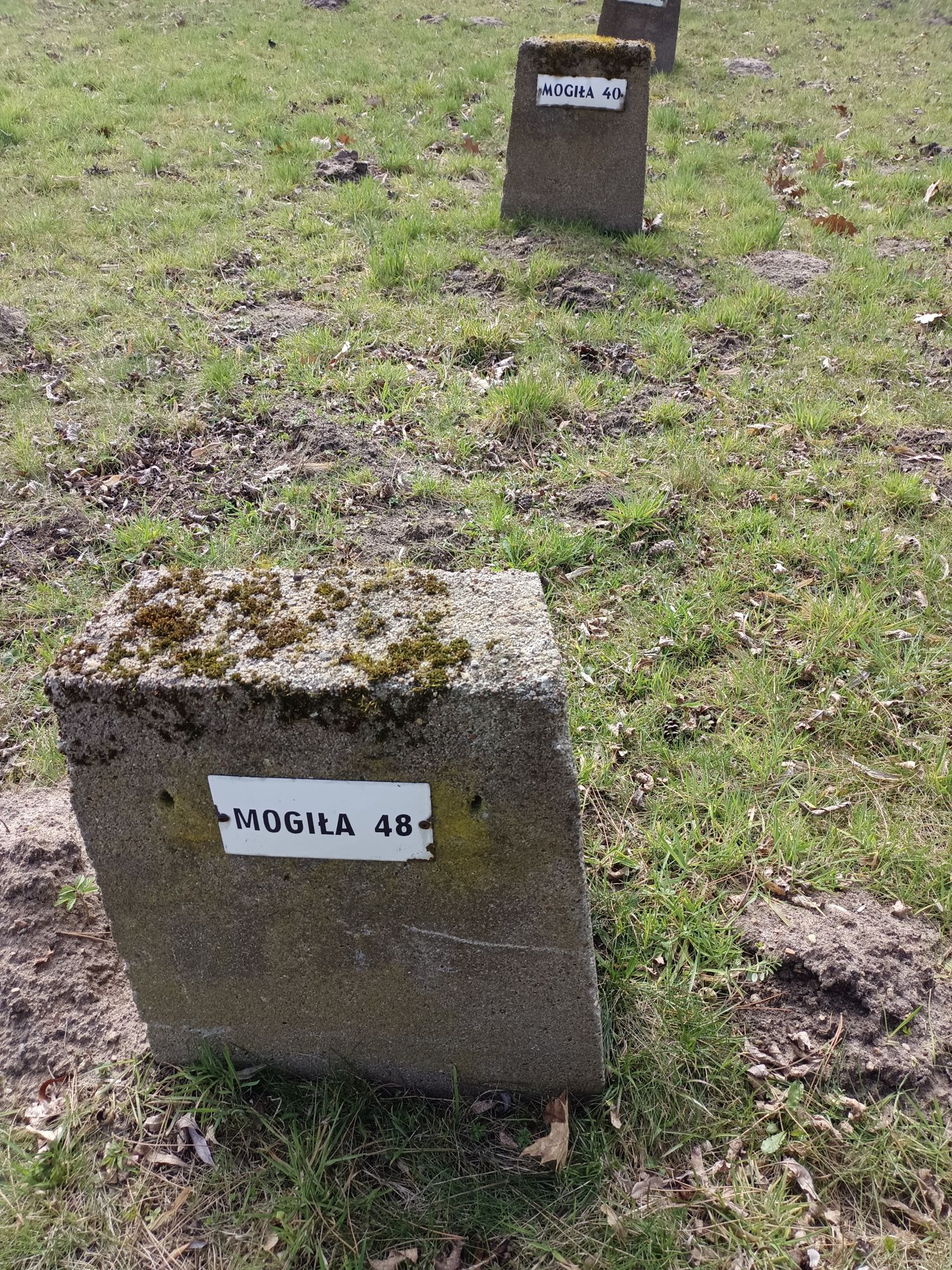 Воинское кладбище в г. Гарволин