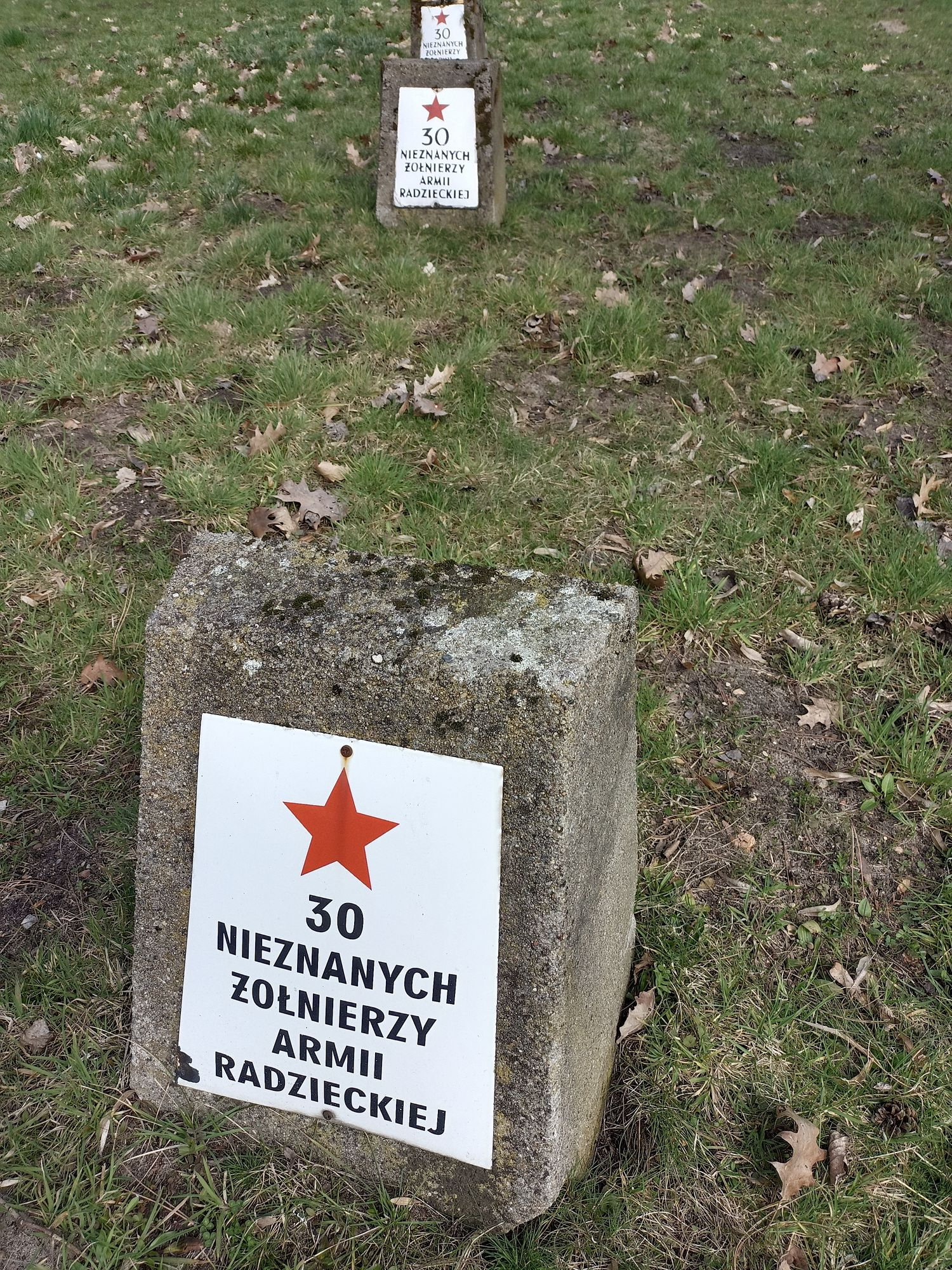 Воинское кладбище в г. Гарволин