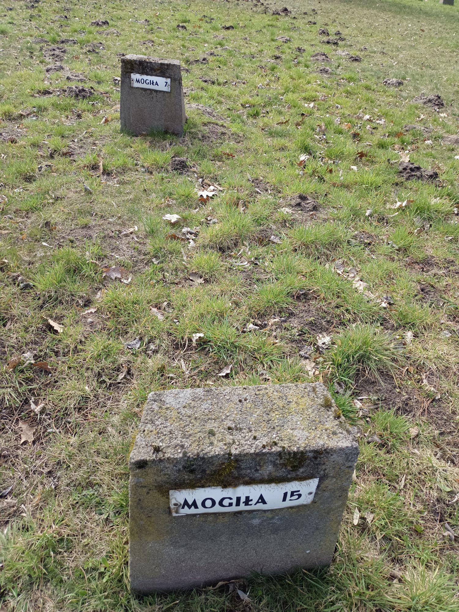 Воинское кладбище в г. Гарволин