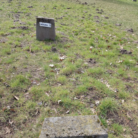 Воинское кладбище в г. Гарволин