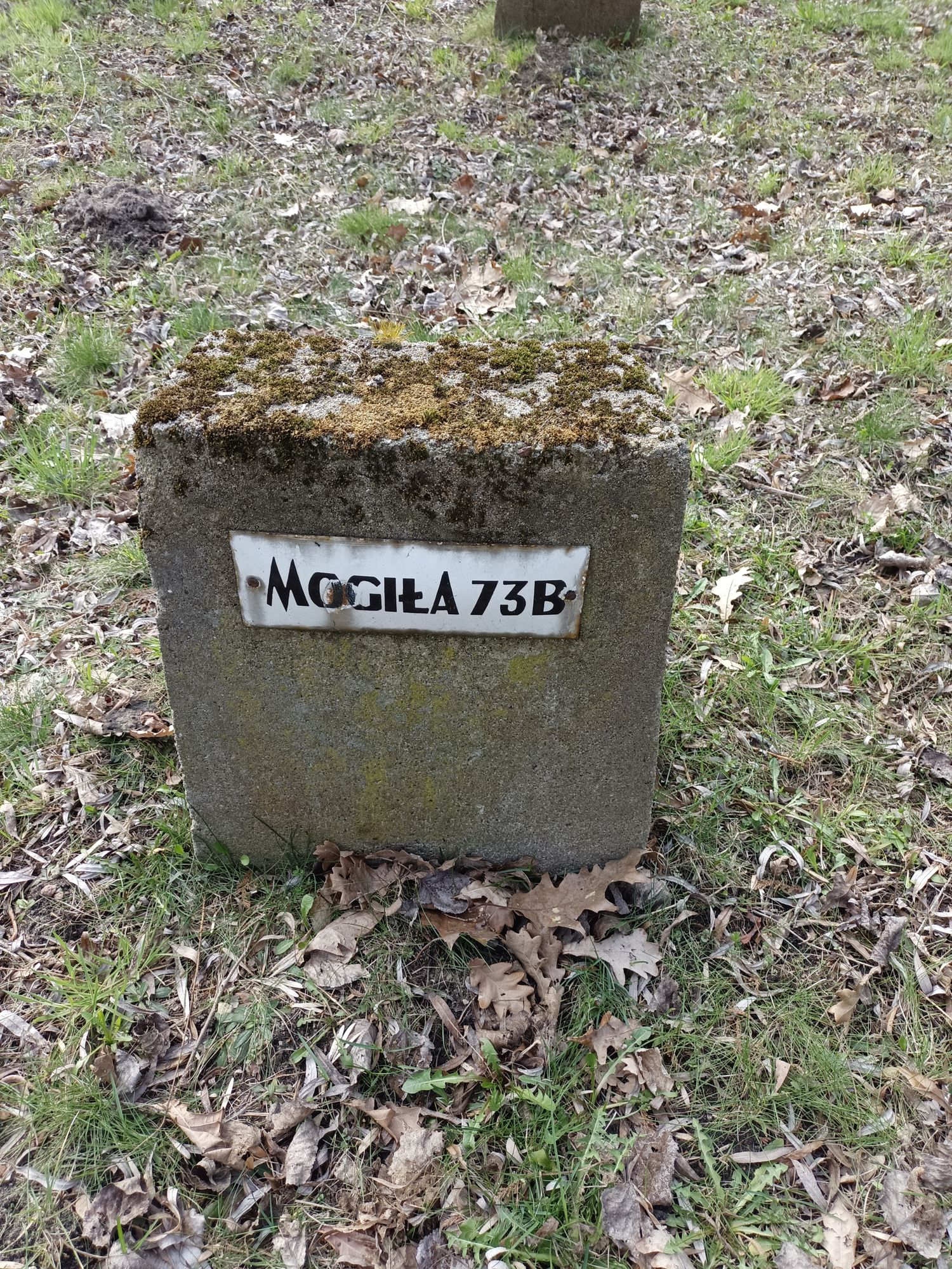 Воинское кладбище в г. Гарволин