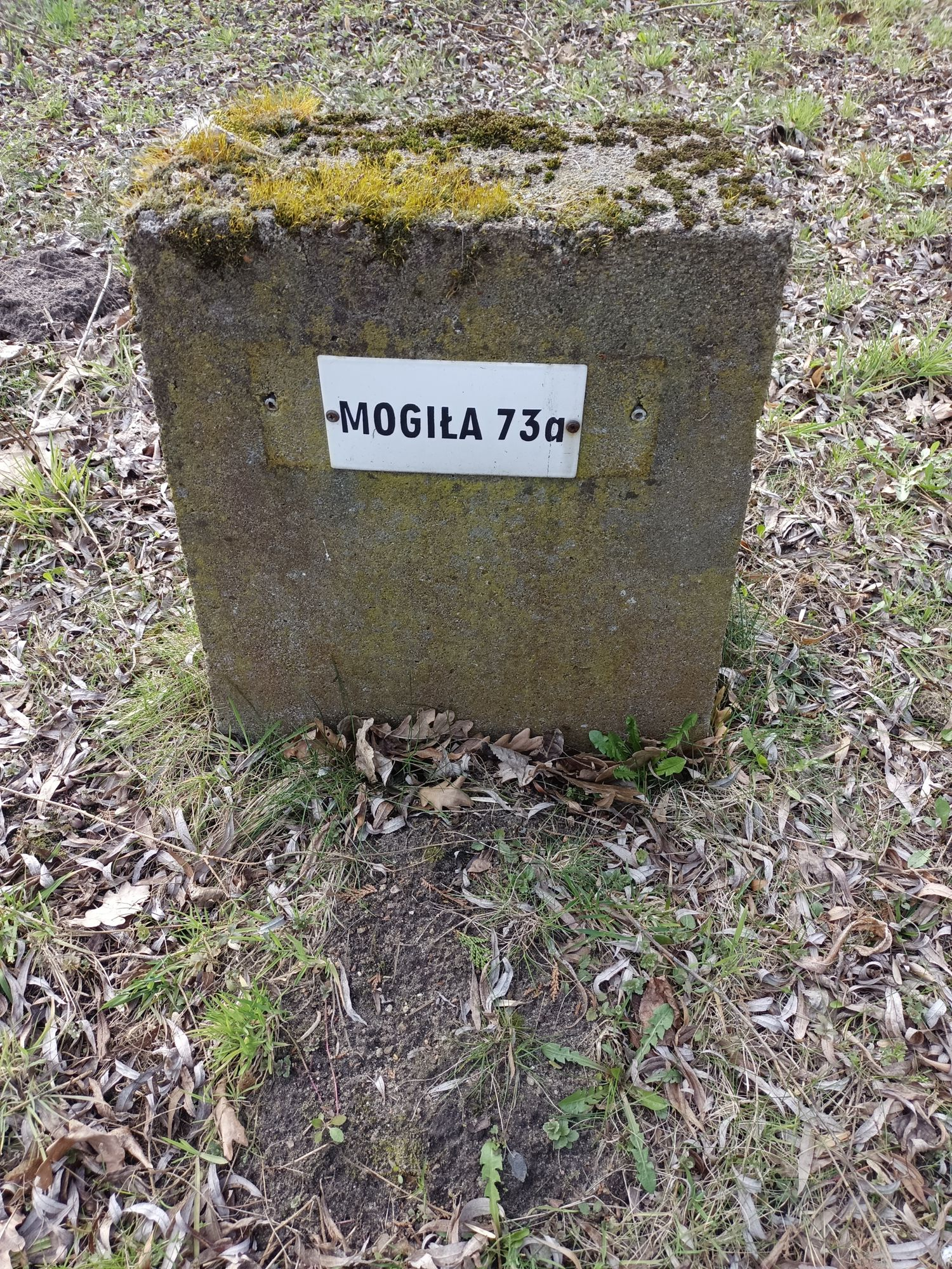 Воинское кладбище в г. Гарволин