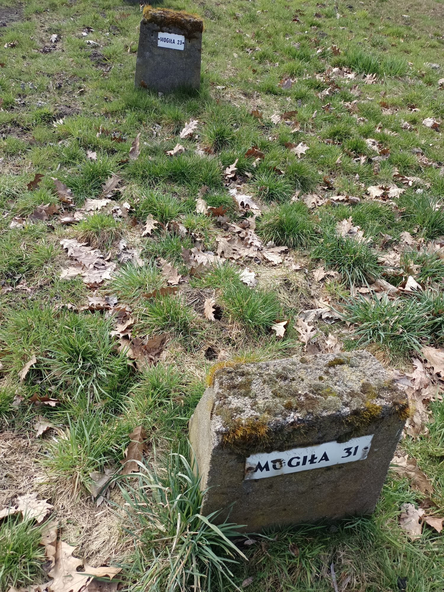 Воинское кладбище в г. Гарволин