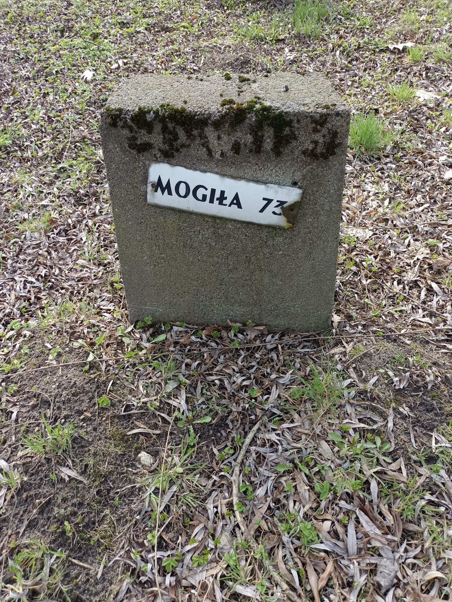 Воинское кладбище в г. Гарволин