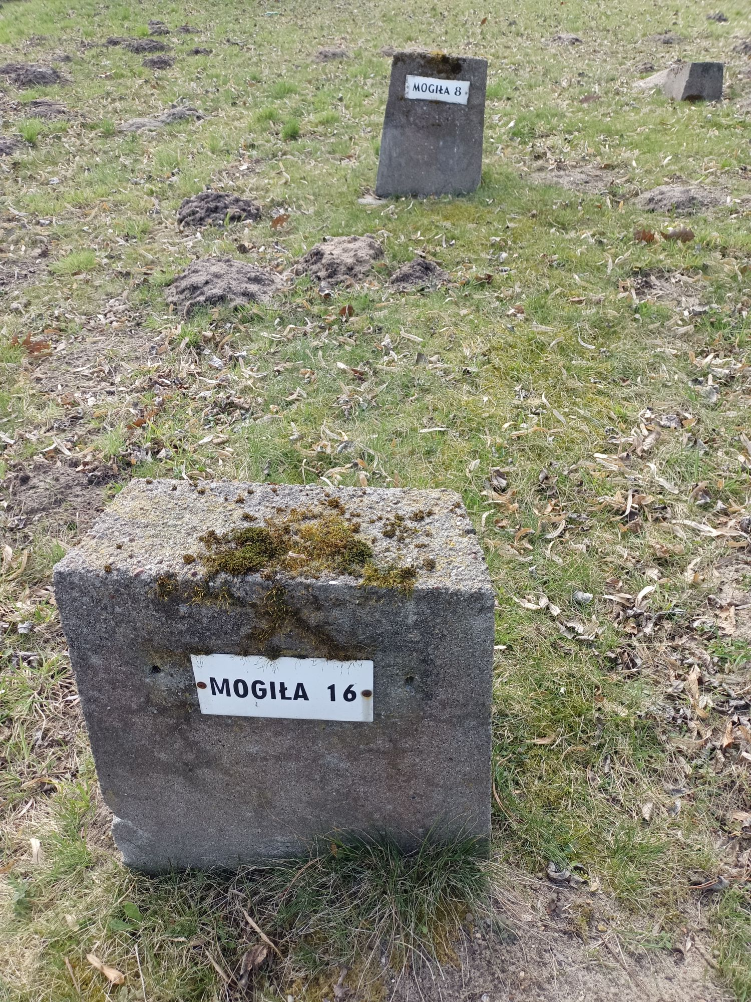 Воинское кладбище в г. Гарволин