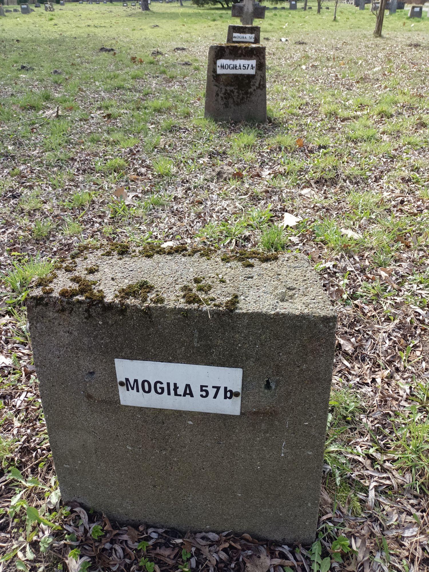 Воинское кладбище в г. Гарволин