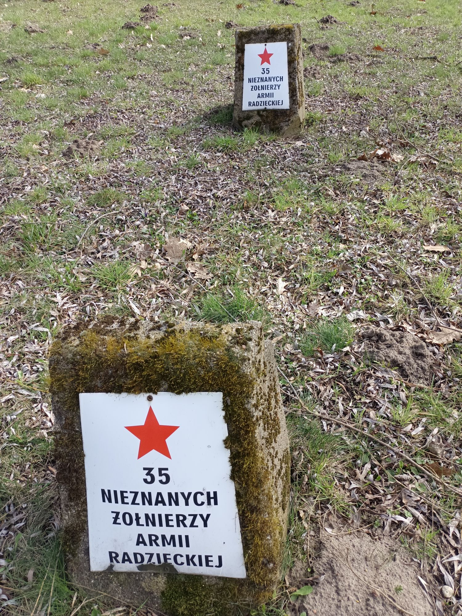 Воинское кладбище в г. Гарволин