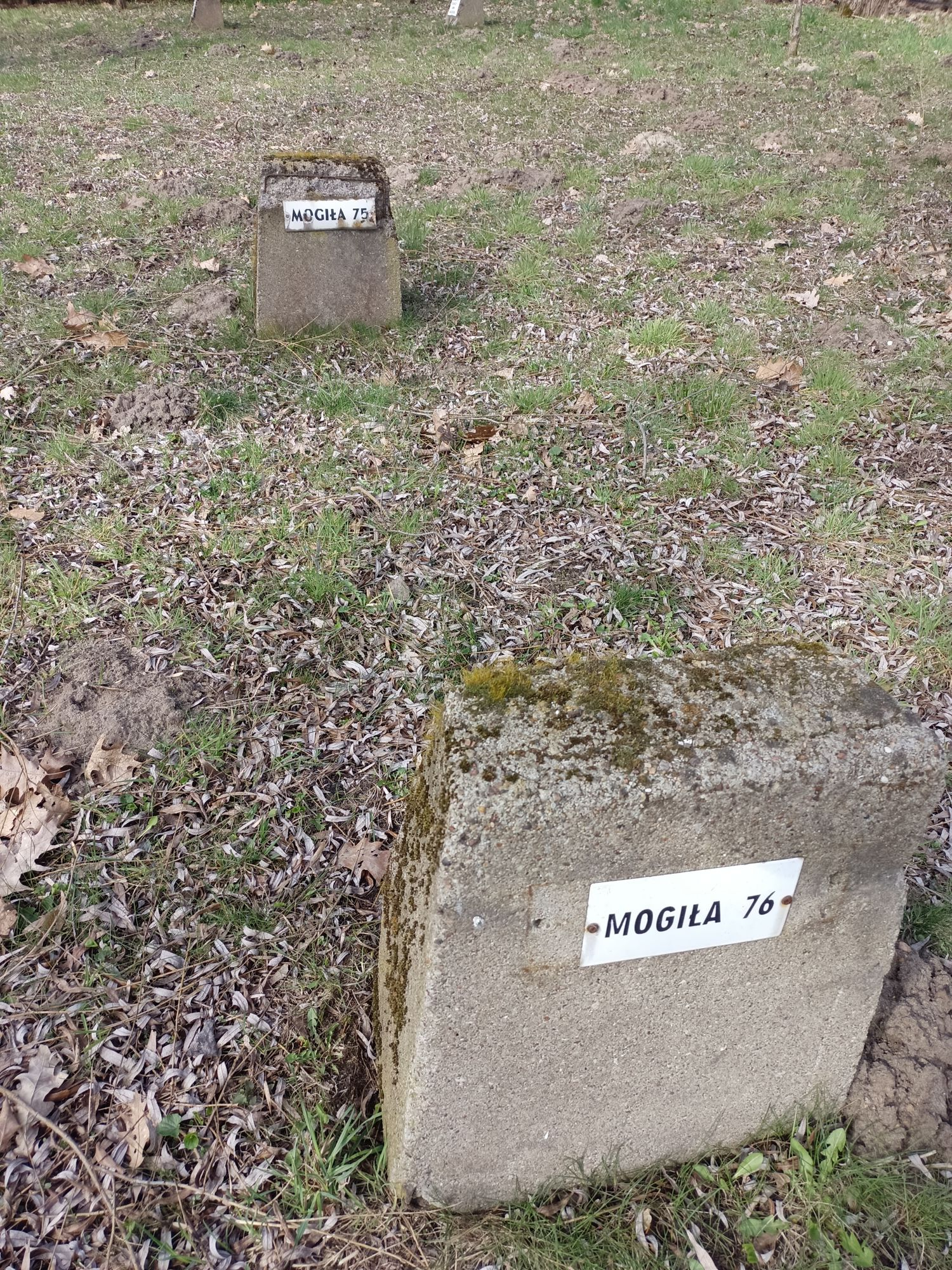 Воинское кладбище в г. Гарволин