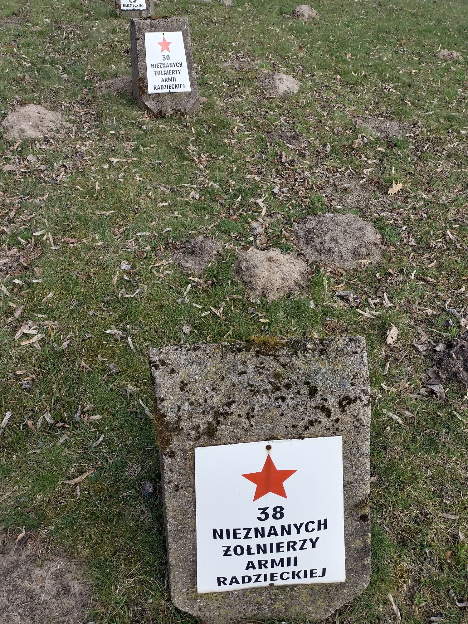 Воинское кладбище в г. Гарволин