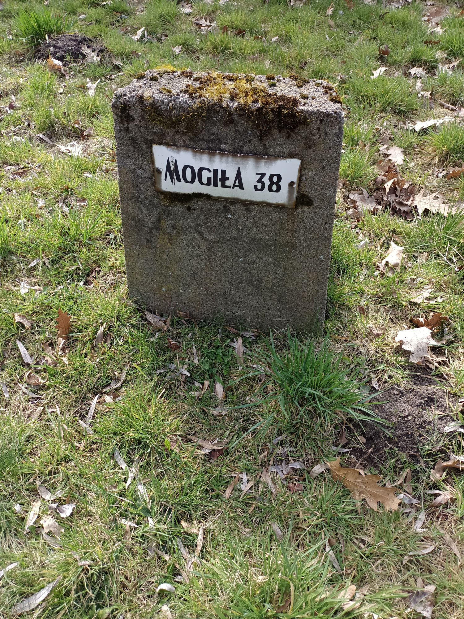 Воинское кладбище в г. Гарволин