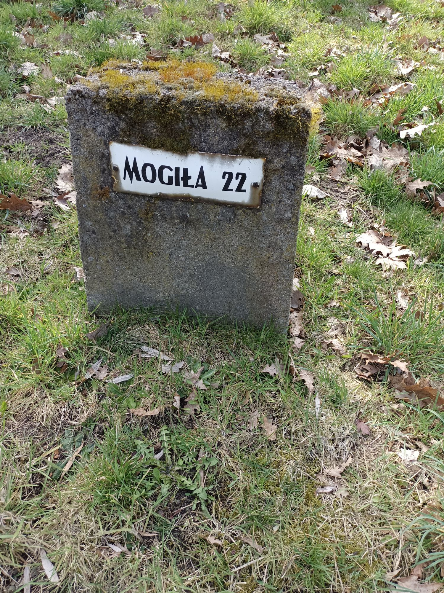 Воинское кладбище в г. Гарволин