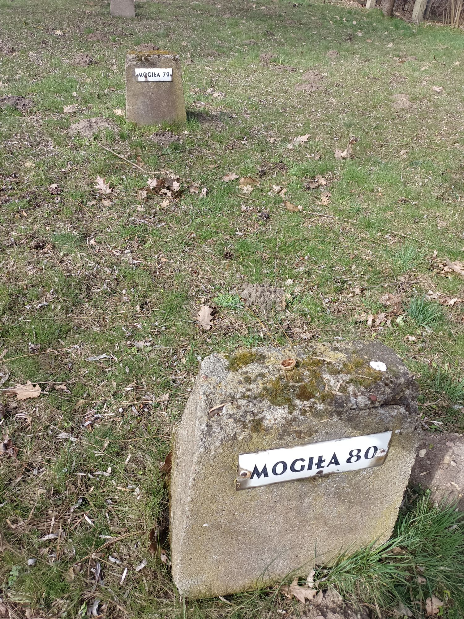 Воинское кладбище в г. Гарволин